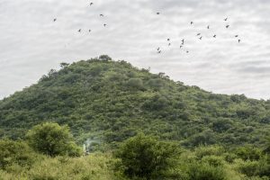 Fishing and Nature in Abaco
