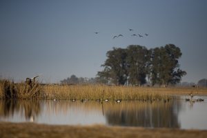 Fishing and Nature in Abaco