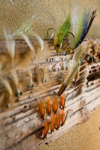 Abaco Hotel & Fishing in Bahamas: