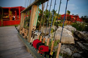Catching Abaco: Fishing Moments