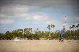 Fishing and Lodging in Abaco in a dream place