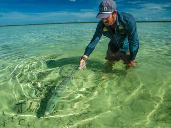 abaco is a fisherman's paradise because of its diversity of fish.