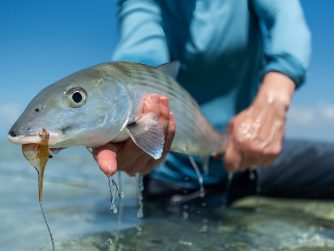 abaco is one of the best fishing destinations in the world