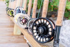 the best fish with the best material can be found at abaco