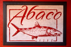 Capturing Moments in Abaco