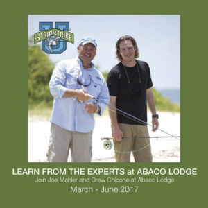 Hosted Trip in abaco lodge