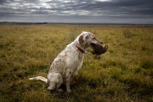 Fishing and Nature in Abaco