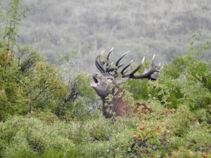 Fishing & Nature in Abaco