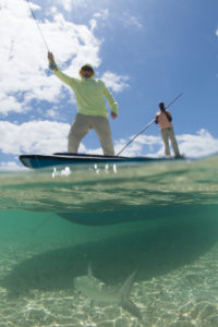 Proud Moment: Abaco Catch of the Day