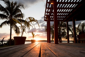 Exploring nature through fishing in Abaco