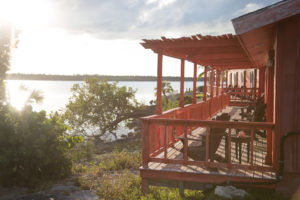 Exploring nature through fishing in Abaco