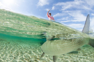 Fun in the Water: Fishing in Abaco, Bahamas