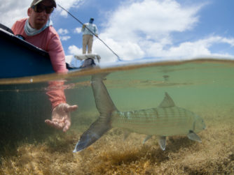 One of the most under-pressured fisheries of this caliber in the Caribbean