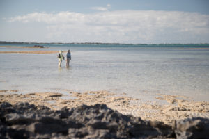 Short runs from the lodge