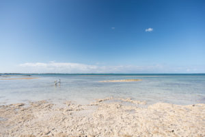 Exploring nature through fishing in Abaco