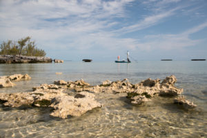 Abaco: Where fishing becomes an art form