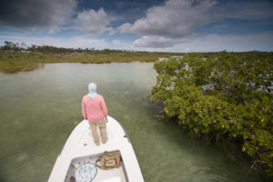 Explore Abaco, Bahamas, through Fishing