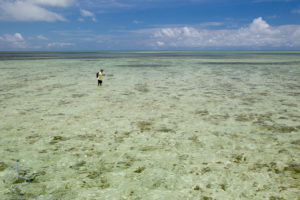 Abaco Fishing: Treasures Under the Caribbean Sun