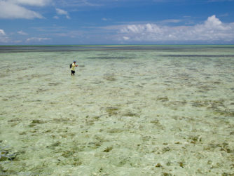 Abaco Lodge, Bahamas