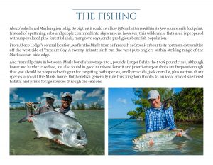 Fishermen in Action at Abaco