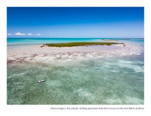 Fishing and Nature in Abaco