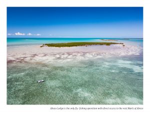 Abaco Fishing: Catch of the Day