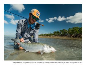 Fishermen in Action in Abaco