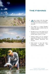 Anglers in Action in Abaco