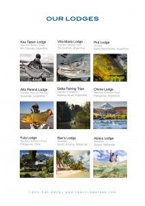 Abaco: Anglers Paradise