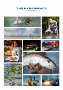 Abaco Fishing Panoramic View