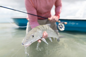 Fishing in Abaco: Treasures Under the Caribbean Sun