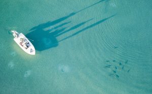 Enjoying the Fishing in Abaco, Bahamas
