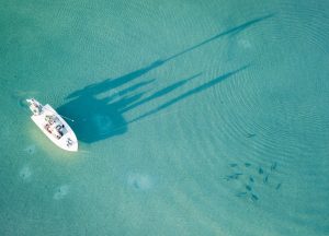 Abaco Fishing: Catch of the Day