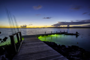 Dock - Best Bonefishing in the Bahamas
