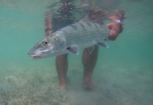 Enjoying Fishing in Abaco, Bahamas
