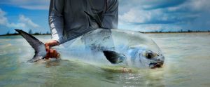 Fishing at Abaco Paradise