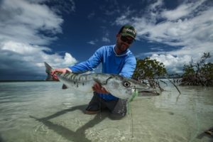Barracuda - Bahamas