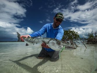 Barracuda - Bahamas
