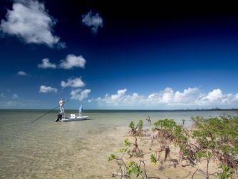 Fishing and Nature in Abaco