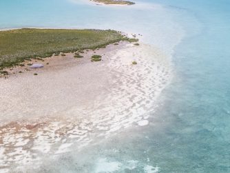Fishing in Abaco Paradise