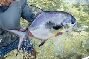 Fishing in Abaco Paradise