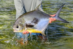 Dream Fishing in Abaco