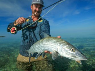 Abaco has an incredible destination for fishermen