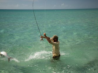 Abaco is home to countless numbers of marine species.