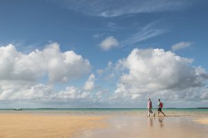 Aquatic Adventures at Abaco