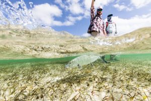 Fishing and Nature in Abaco