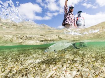 Fishing and Nature in Abaco