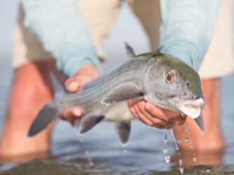 Bonefishing in the Bahamas