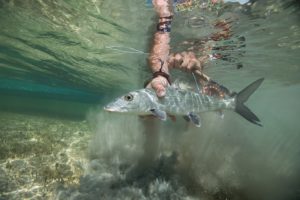 Bonefishing in the Bahamas