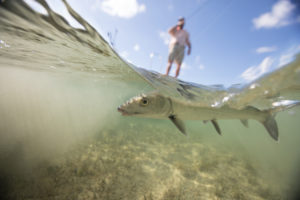 Fishing in the Marls